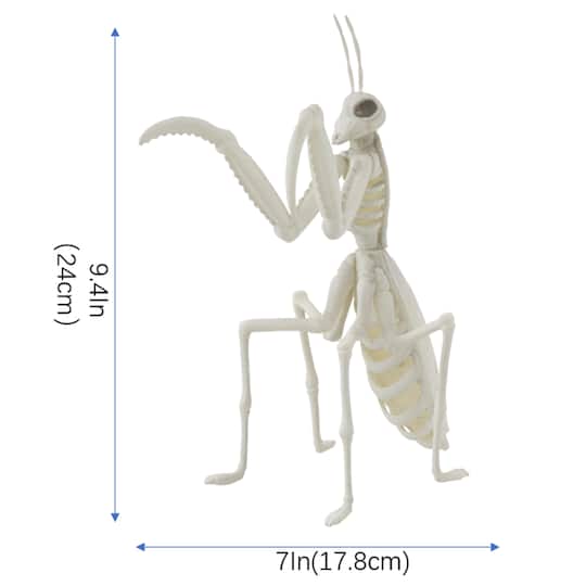 9.4" Mantis Skeleton by Ashland®